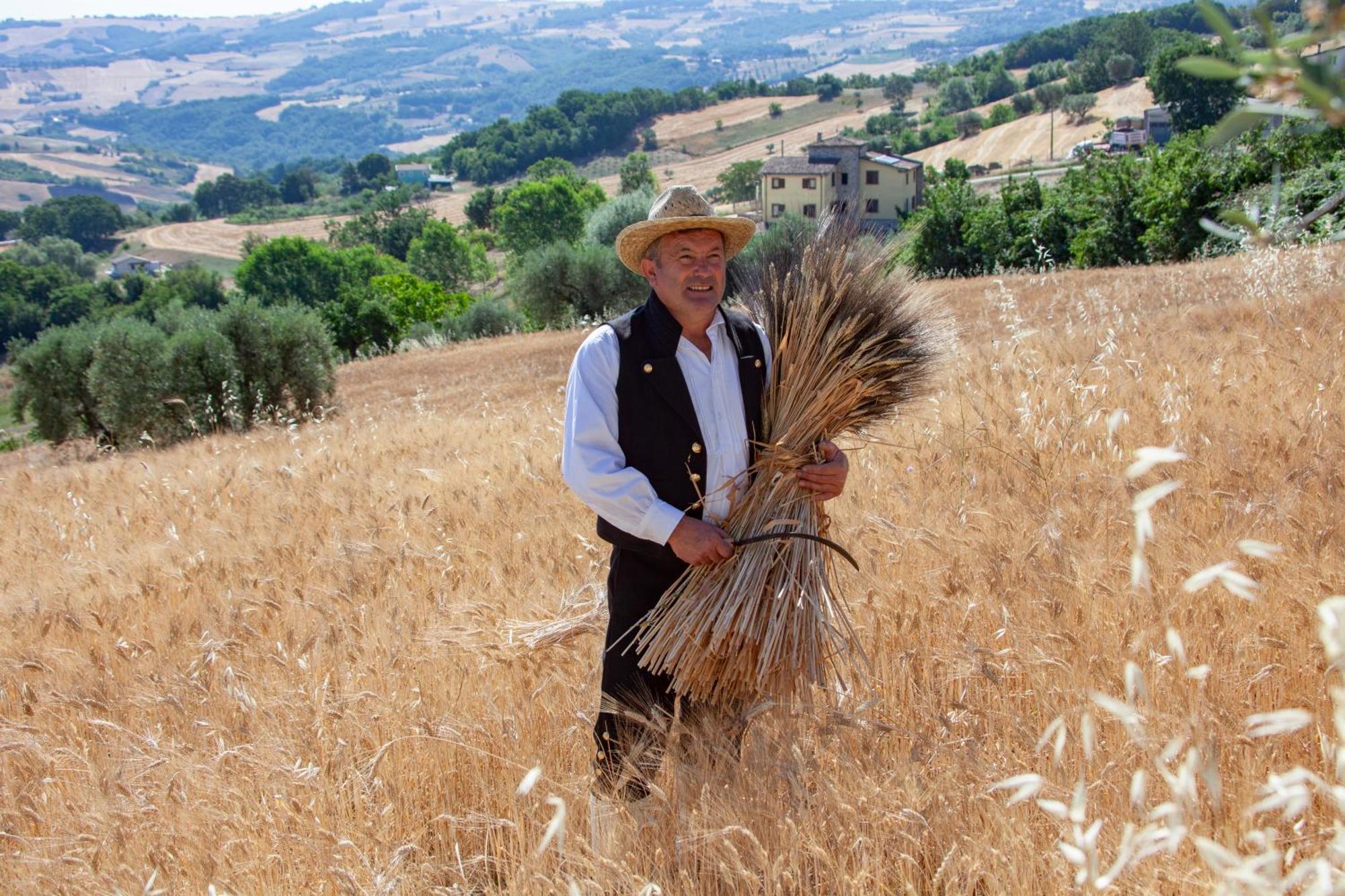 Agriturismo Terra E Sapori Campodipietra Экстерьер фото