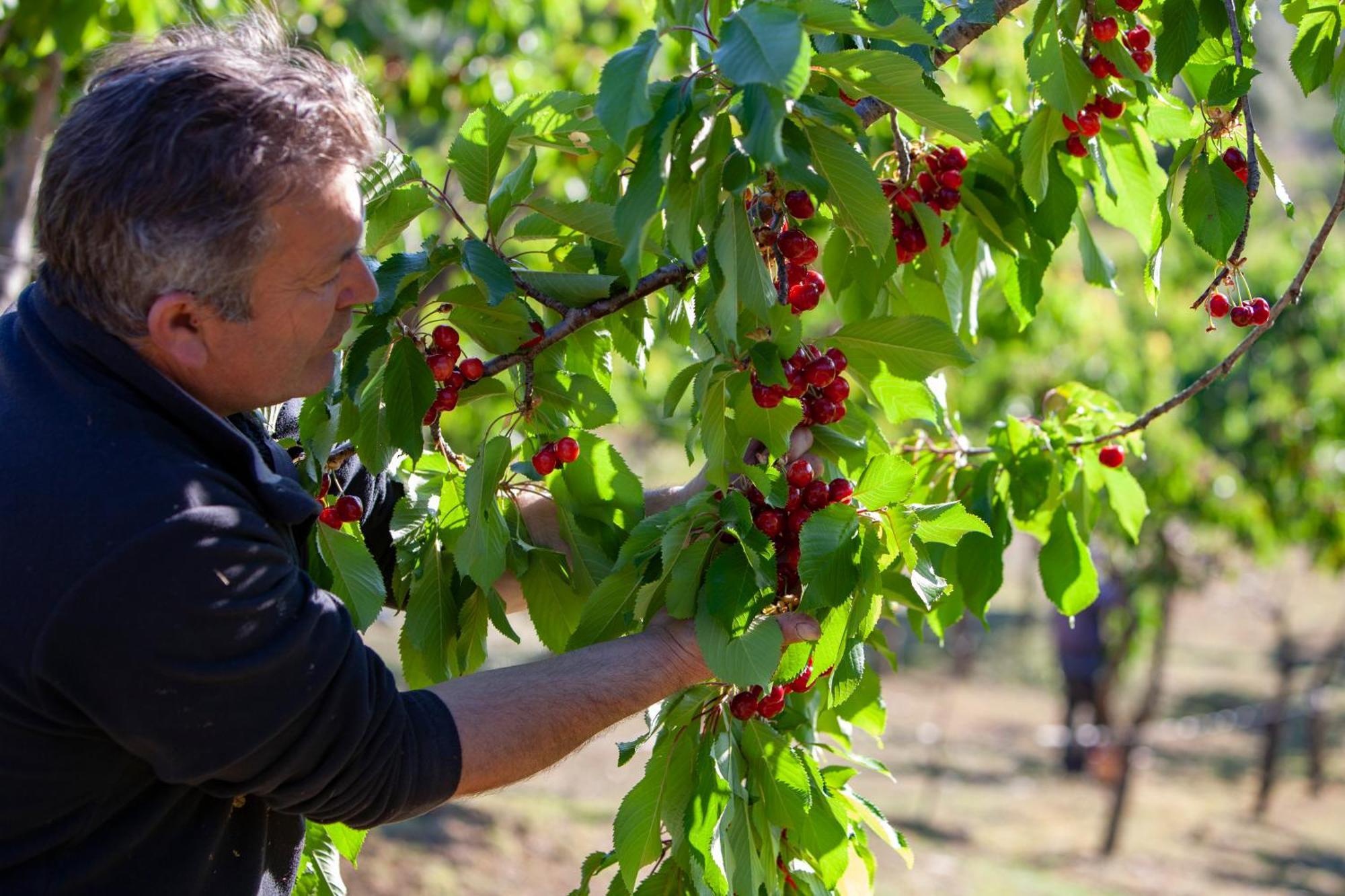 Вилла Agriturismo Terra E Sapori Campodipietra Экстерьер фото